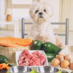 Zdrava hrana za pse