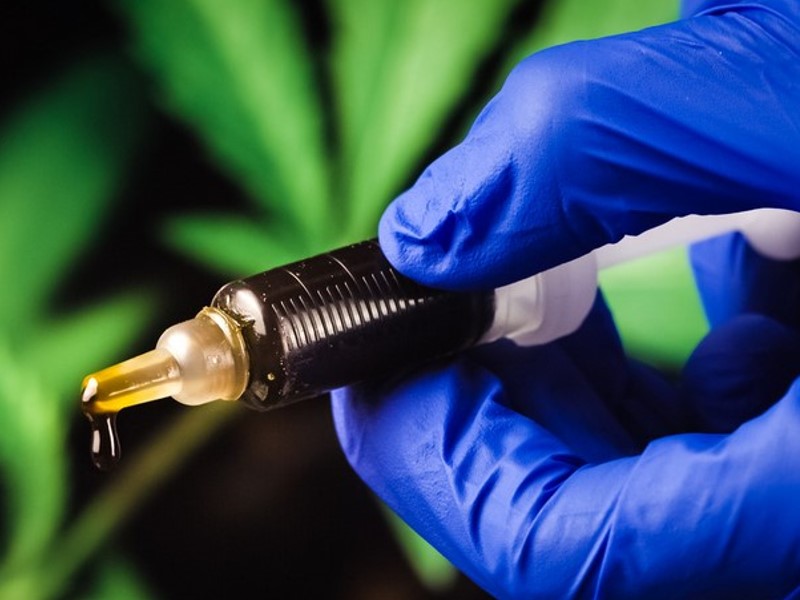 Kaj je konopljina smola in pri čem vam lahko pomaga?